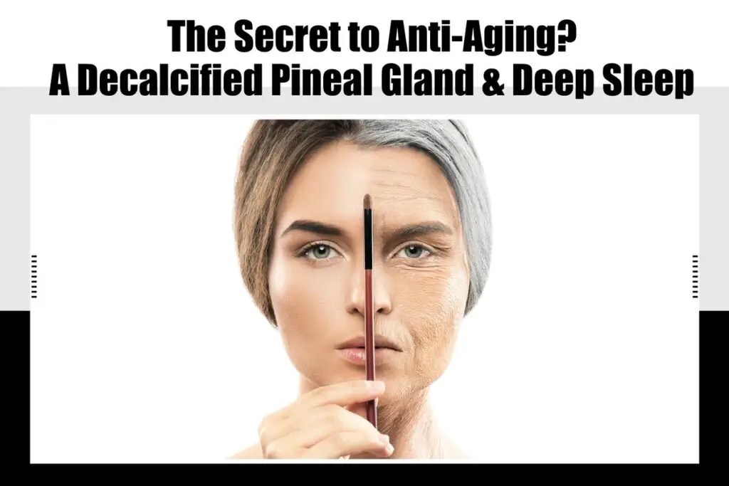 The Secret to Anti-Aging? A Decalcified Pineal Gland & Deep Sleep