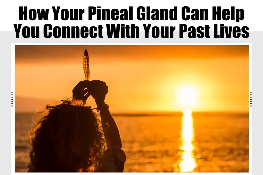 How Your Pineal Gland Can Help You Connect With Your Past Lives