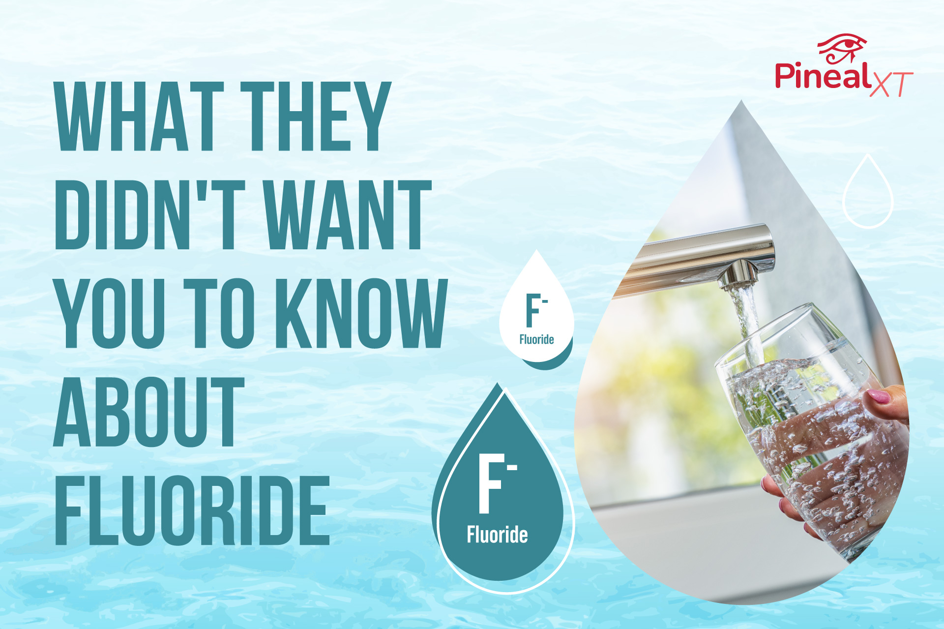 What They Didn’t Want You to Know About Fluoride