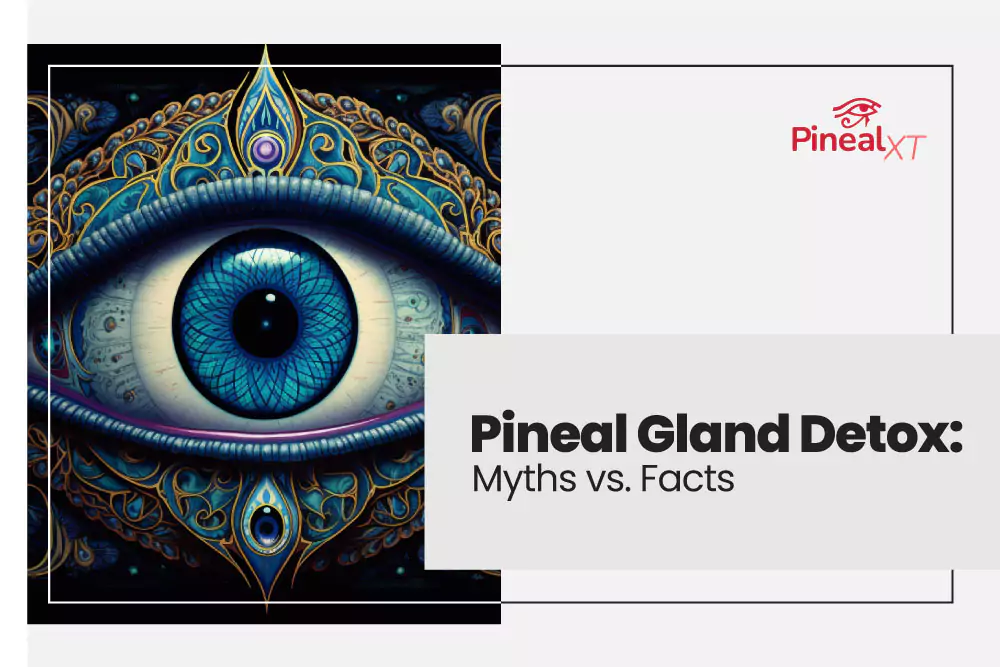 pineal-gland-2-6583d81f0e5e0