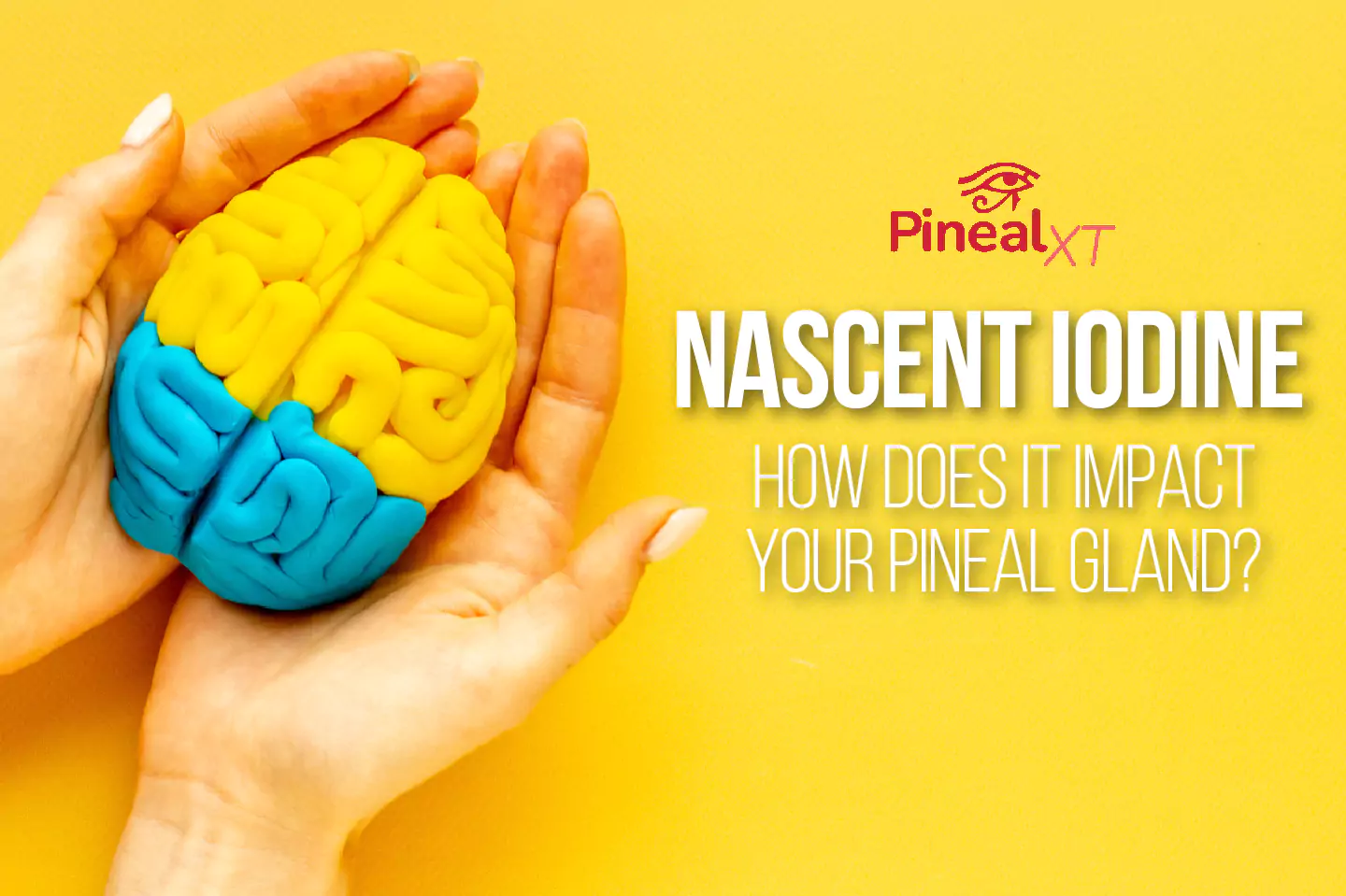 Nascent Iodine – How Does it Impact Your Pineal Gland?