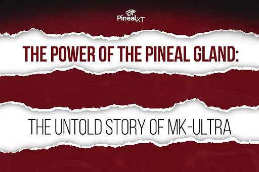 The Power of the Pineal Gland: The Untold Story of MK-Ultra 