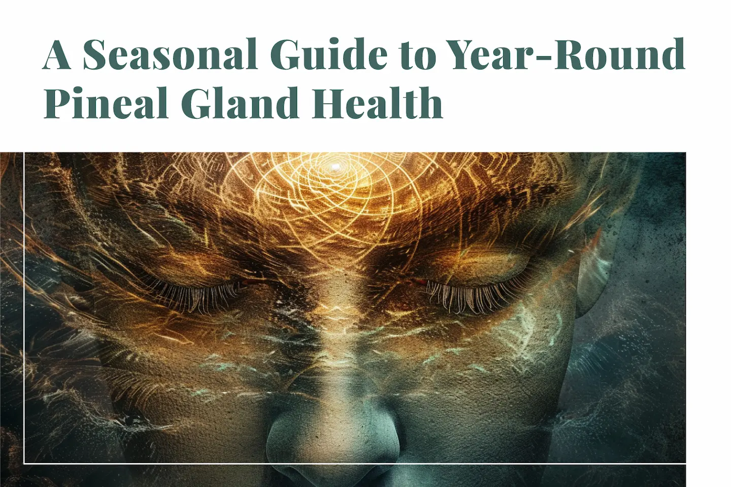 A Seasonal Guide to Year-Round Pineal Gland Health