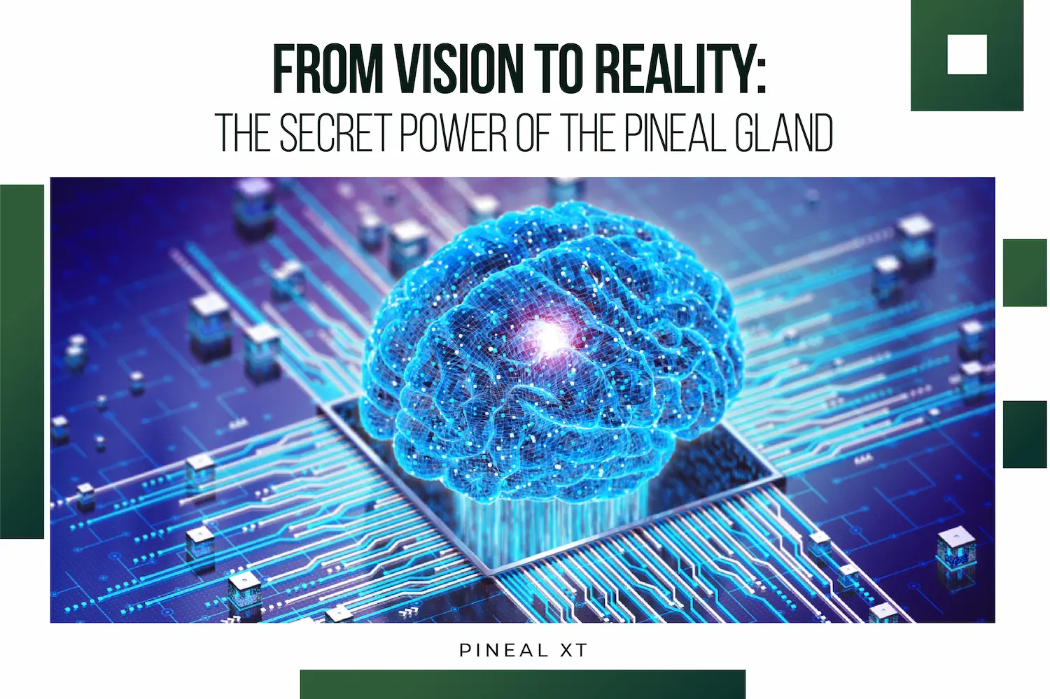 From Vision to Reality: The Secret Power of the Pineal Gland