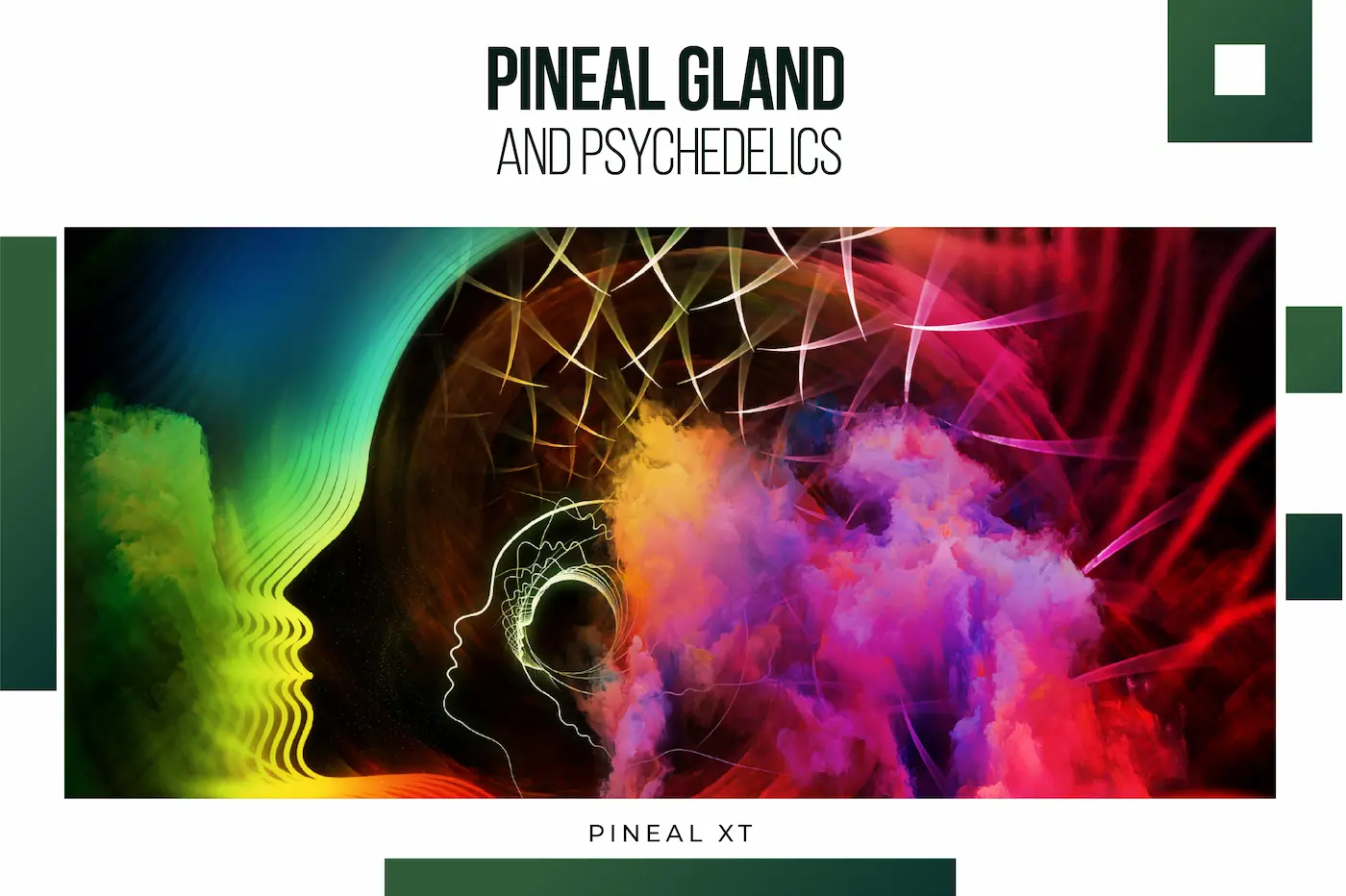 Pineal Gland and Psychedelics