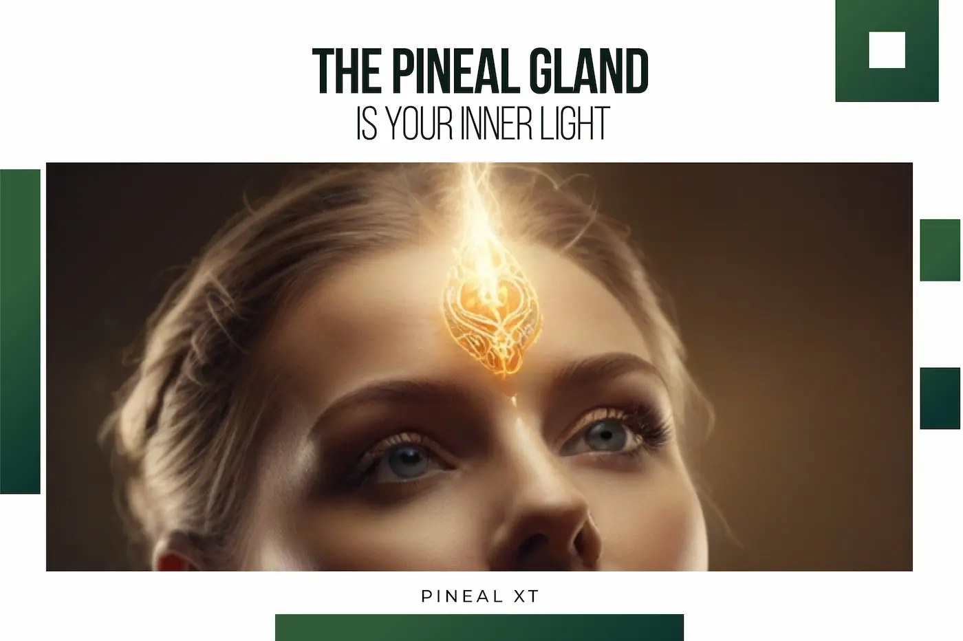 The Pineal Gland is Your Inner Light