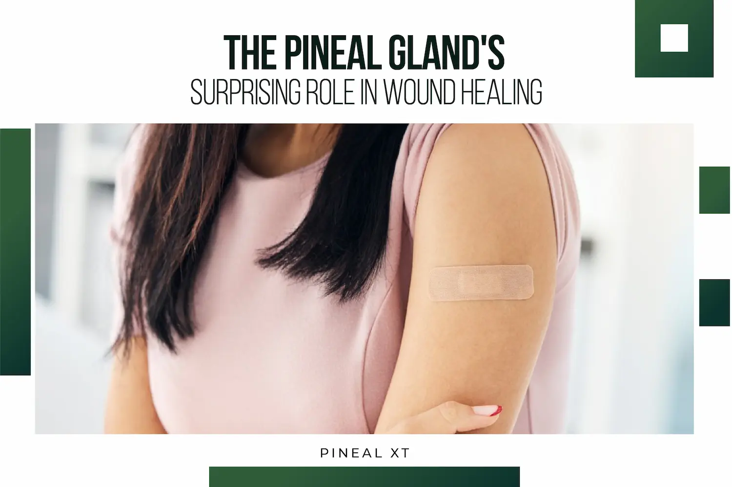 The-Pineal-Glands-Surprising-Role-in-Wound-Healing-DESKTOP