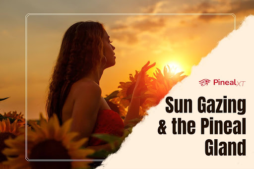 Sun Gazing & the Pineal Gland