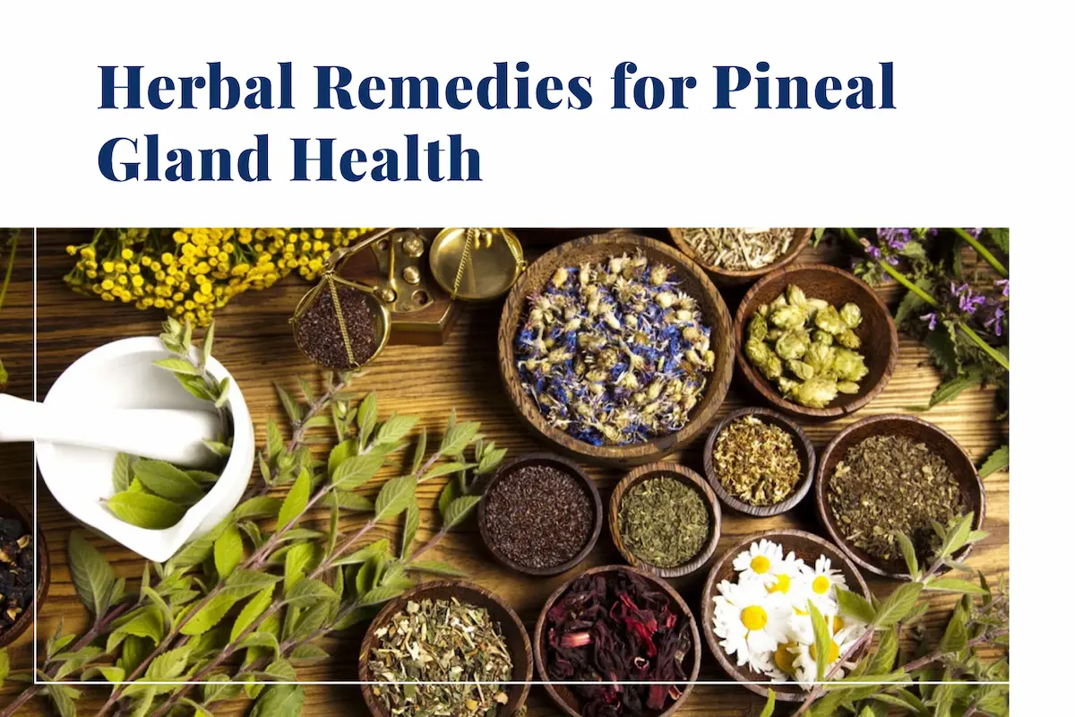 Herbal Remedies for Pineal Gland Health