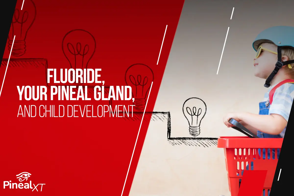 Fluoride, Your Pineal Gland, and Child Development