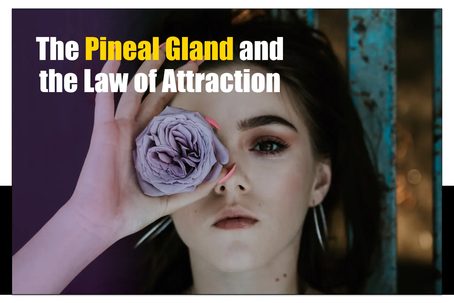 The Pineal Gland and the Law of Attraction