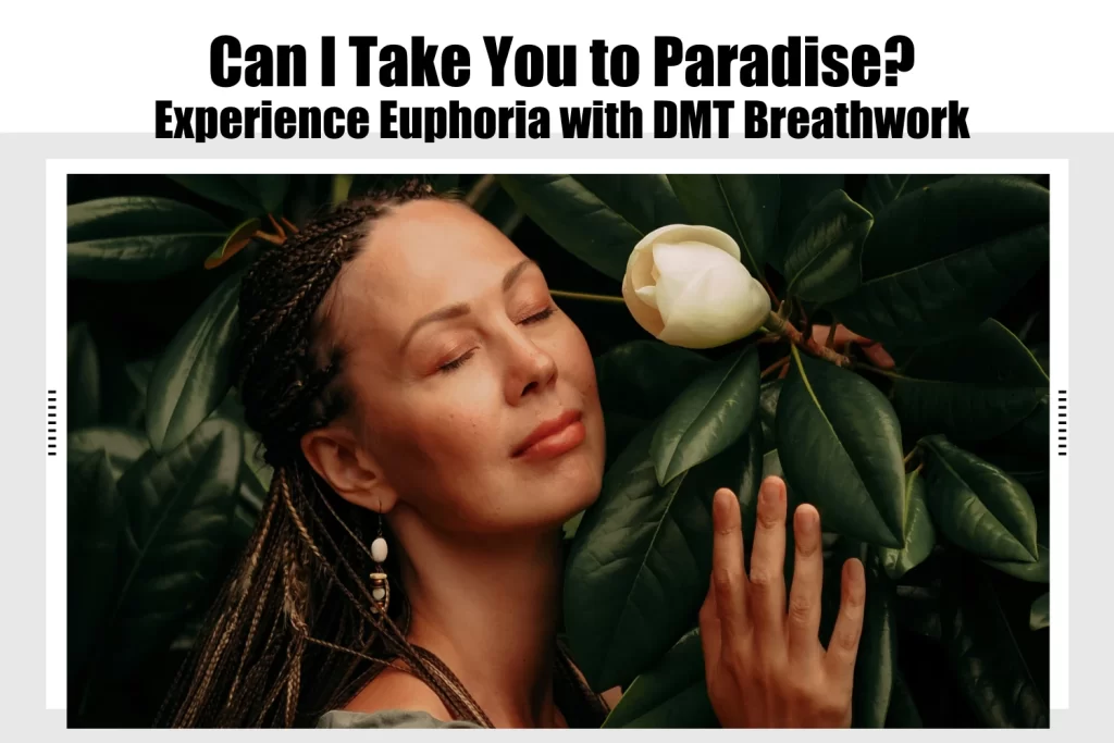 Can I Take You to Paradise? Experience Euphoria with DMT Breathwork