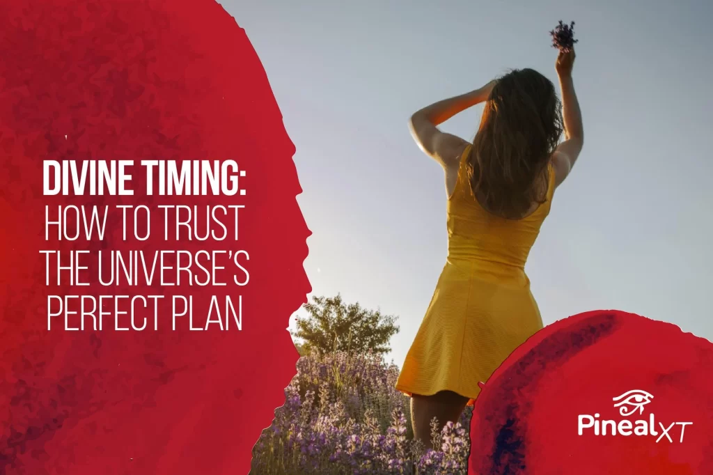 Divine Timing: How to Trust the Universe’s Perfect Plan