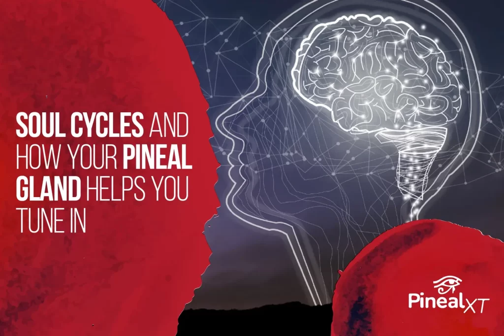 Soul Cycles and How Your Pineal Gland Helps You Tune In