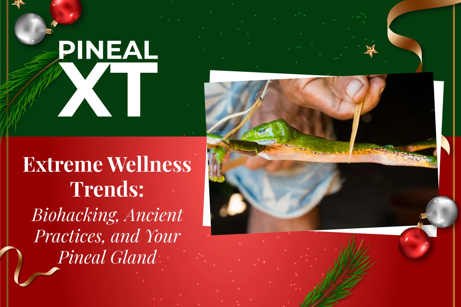 Extreme Wellness Trends